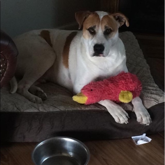 Nice to meet you! - Picture 6 of 8